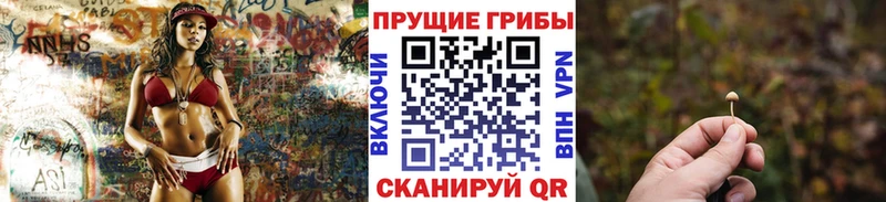 Псилоцибиновые грибы прущие грибы даркнет сайт Городовиковск