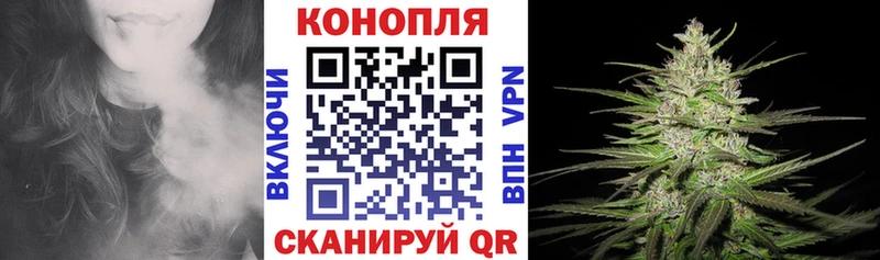 Каннабис план  где найти   Городовиковск 